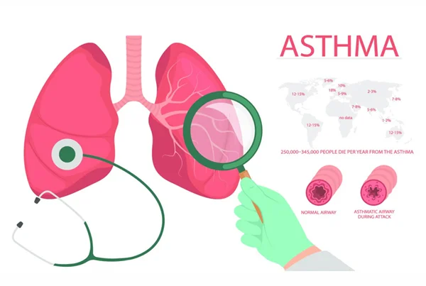 Respiratory System